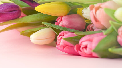 Obraz na płótnie Canvas Bouquets of flowers tulips on a pink background postcard