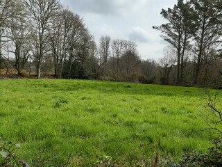 Pequeña campiña gallega en un pueblo del interior