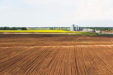 Fototapeta na wymiar Field of rapeseed flowers, plant for cleaning and storage of agricultural products, flour, cereals and grains.