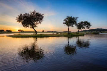 Foto op Canvas A landscape in Santa Susana, Alentejo region of Portugal with olive trees surrounded by water in a damm lake at sunset © p_rocha