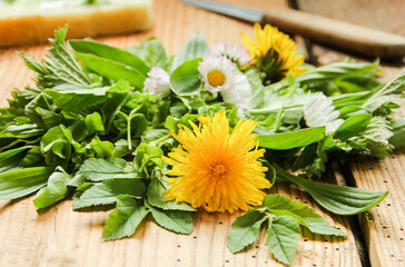 Wildkräutersalat Wildkräuter Salat essbare Blüten Blätter Kräuter 