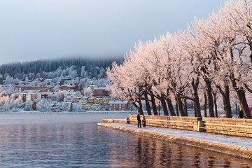 View of the frosted trees in the Badhusparken park and the Frösön island
