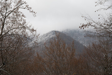 Landscape with beautiful fog in forest on hill or Trail through a mysterious winter forest with autumn leaves on the ground. Road through a winter forest. Magical atmosphere. Azerbaijan nature