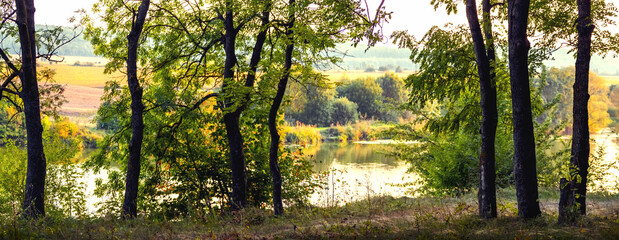 Trees on the shore river in early autumn. Autumn panorama with river and trees