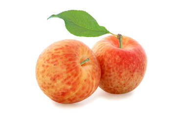 Yellow and red spotted two plums with leaf isolated on a white background