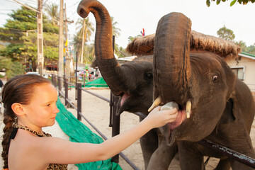 A girl feeds young elephants, Koh Chang Island, Thailand.