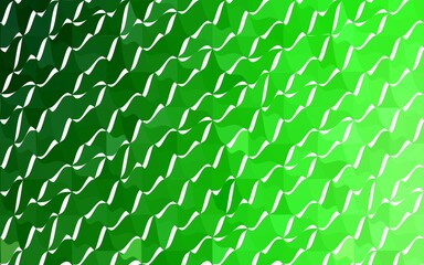 Fototapeta premium Light Green vector polygonal design pattern. Consist of gradient triangles in origami style.