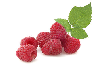 Raspberries with twig isolated on white