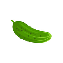 Cucumber vector flat icon. Cartoon illustration of fresh vegetable isolated on white.