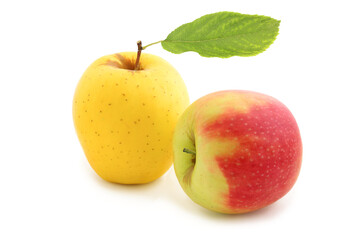 Red and yellow apples with leaf isolated on white