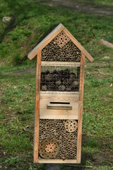 domek dla owadów w parku © drlmk