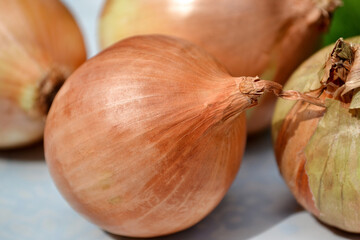Yellow onions, botanically classified as Allium cepa. Close up of golden bulb.  It is a  good...