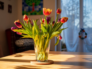 Spring Morning sun light view through window to tulips