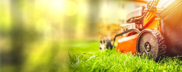 Lawn mower cut grass. Garden work. Electric Rotary lawn mower machine - obrazy, fototapety, plakaty