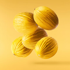 Fresh raw melon falling in the air isolated on yellow