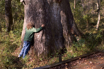 Tree Hugger, hugging one of the largest trees in the South, Goethe State Forest, Florida