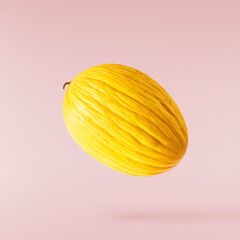 Fresh raw melon falling in the air isolated on yellow