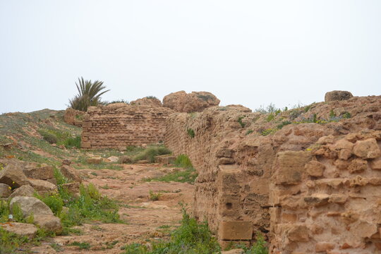 roman ruins at algeria tipaza
