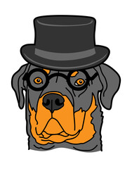 Rottweiler wear eyeglasses and hat