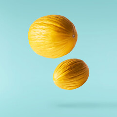 Fresh raw melon falling in the air isolated on yellow