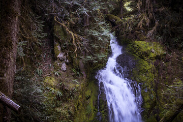 waterfall in the forest