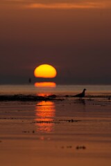 sunset over the sea Scotland landscapes