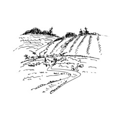 Rural landscape with hills. Vector illustration, sketch.