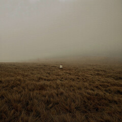 Border between Poland and Czech republic