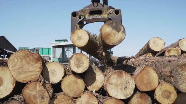 Grue attrapant des buches de bois tronc d'arbre
