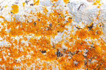 stone background with different textures