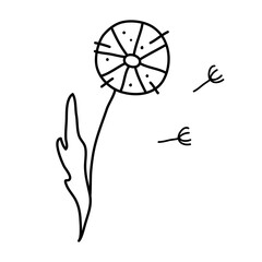 Simple dandelion Fluffy Seeds. Vector illustration in a cute doodle style is perfect for postcards, social media design or for a packing. Line art
