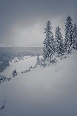 Wielki Kopieniec - Tatry Polskie.