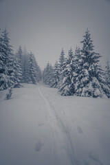 Wielki Kopieniec - Tatry Polskie.