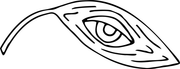 illustration of a sketch of a Eye. Hand draw psychedelic doodle