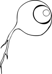 illustration of a sketch of a Eye. Hand draw psychedelic doodle