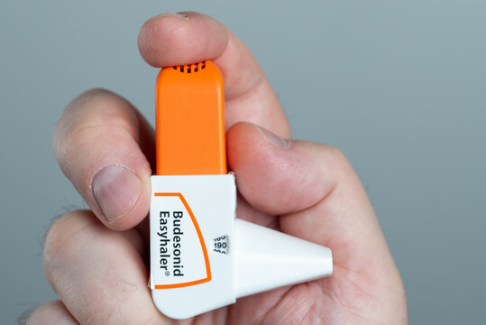 Budesonid Easyhaler in a hand. For chronic bronchitis, asthma and, according to the latest findings, for COVID-19, SARS-CoV-2 infection	