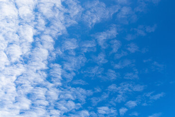 Fototapeta na wymiar Blue sky background with textured white clouds on a clear day.