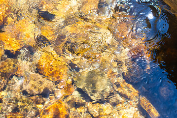 An abstract photo of a river bottom in a clear mountain river.