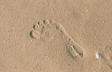 Fototapeta na wymiar The footprint of a man on a sandy beach