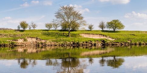 Fototapeta na wymiar Trees on the banks of the River Ribble