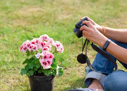woman taking photos of plants on the dry grass in the garden