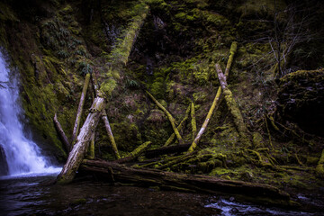 waterfall in the forest