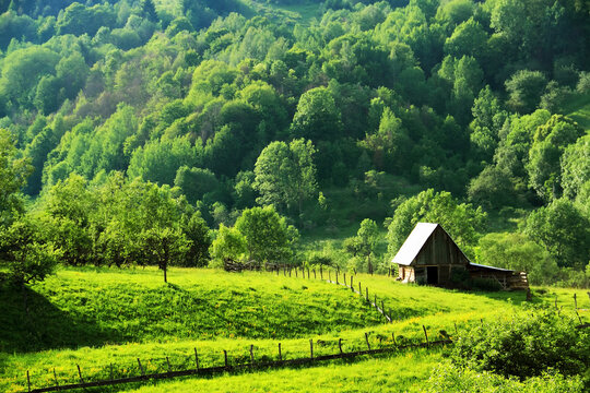 Scenic summer morning landscape in the Occidental Carpathians, Transylvania. Mountain rural scenery in Apuseni Mountains, Romania, Europe