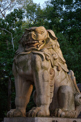 Fototapeta na wymiar lion statue in front of a temple