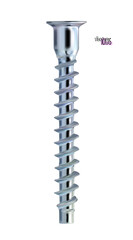 Realistic, furniture self-tapping screw isolated on white background. Confirmat. Euro screw for assembling furniture. Vector illustration.