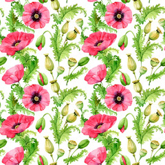 Watercolor seamless Pattern. Delicate poppy flowers, buds, pods and carved leaves. Isolated over white background. - 428664170
