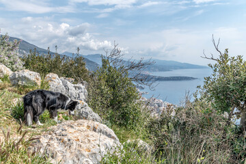 Panorama sur Monaco depuis la montagne