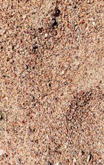 The texture of river sand. Suitable for construction or tourism content.