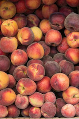 Marketplace fresh colorful dessert peaches background