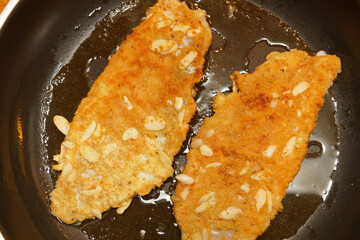 Redfish fillet in a pan